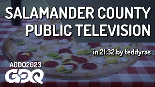 Salamander County Public Television by teddyras in 21:32 - Awesome Games Done Quick 2023