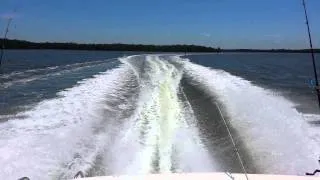 BAYLINER 2452 DEMO