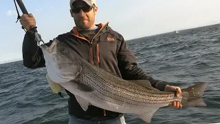 Big Stripers in "The Race" - Long Island Sound