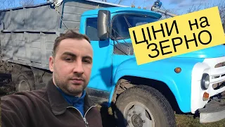 І Сміх і ГРІХ-ЦІНИ на ПШЕНИЦЮ, Ячмінь, Висівки🐖🐷👍Підготовка до Опоросу