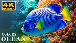 Aquarium 4K VIDEO (ULTRA HD) 🐠 Beautiful Coral Reef Fish - Relaxing Sleep Meditation Music