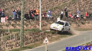 Rallye des vignes de Régnié 2022 Crash, Show By Rigostyle #france #rallying  #amazing