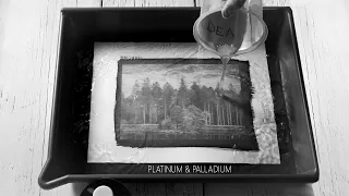 How I make Platinum Palladium Photo Prints