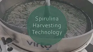 Spirulina Algae Harvesting with Virto-Cuccolini: latest improvements