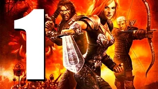 Прохождение Dungeon Siege 2 #1 («Нас выпустят, это точно»)