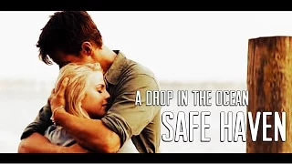 ● Safe haven | A drop in the ocean