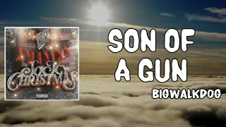 Son Of A Gun Lyrics - BigWalkDog