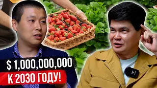 Сельское хозяйство в КР – ВЕСЬ МИР полюбит кыргызские ягоды!?