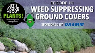 Episode 111: Weed Suppressing Ground Covers