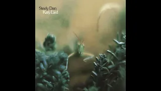 Steely Dan ~ Doctor Wu ~ Katy Lied  (HQ Audio)