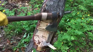 Как правильно рубить топором. Валка деревьев, техника рубки топором "Бородач"