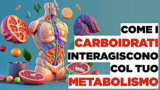 CARBOIDRATI: come interagiscono col tuo METABOLISMO