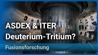 Deuterium & Tritium als Fusionsmaterial in ASDEX Upgrade und W7X | Hartmut Zohm