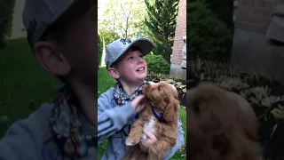 Kids 'Over the Moon' by Parents' Puppy Surprise