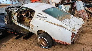 Abandoned 1967 Ford Mustang Fastback 5.0 Coyote 6-Speed Build Project