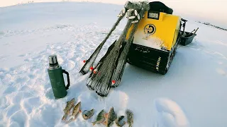 Обкатываем Мотобуксировщик Рыбак. Ловля рыбы хапугами зимой. Рыбалка в Сибири 2022.