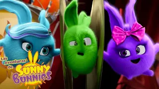 ENSAYO DE BANDA | Las Aventuras de Sunny Bunnies | Dibujos para niños