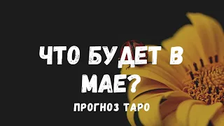 Что будет в МАЕ?🌹События НА ПОРОГЕ. К чему готовиться? ТАРО и ЛЕНОРМАН