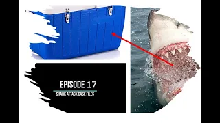 Episode 17 - Shark Attack Case Files - Sharks are like Buses