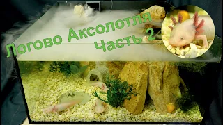 Aquarium, Axolotl's Lair! part 2 # Aquarium # Axolotl