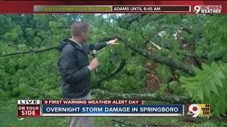 Fallen tree traps family in Springboro home