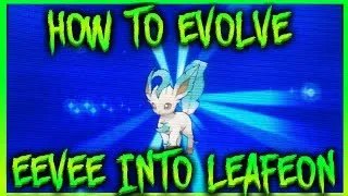 Pokemon X and Y: How to Evolve Eevee into Leafeon