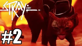 Stray Gameplay Walkthrough Part 2 (PS5)