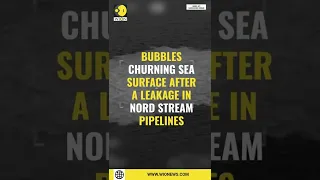 Bubbles churning sea surface off Danish coast after a leakage in Nord Stream pipelines | WION Shorts