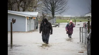 LIVE: Relentless rain in B.C. leads to flooding, evacuation orders