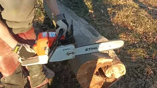 Stihl 044c Test sägen