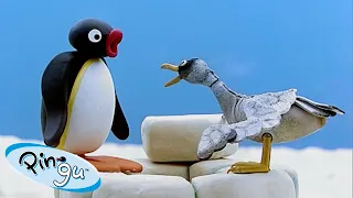 Pingu The Problem Solver 🐧 | Pingu - Official Channel | Cartoons For Kids