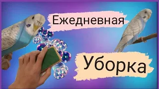 ЕЖЕДНЕВНАЯ УБОРКА У ПОПУГАЯ | ПТИЧКА В ШОКЕ !