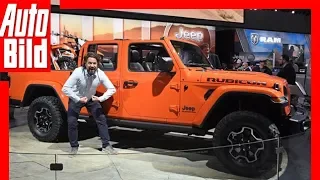 Tops und Flops - Los Angeles Auto Show 2018