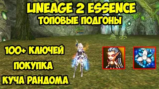 Топовые подгоны в Lineage 2 Essence.