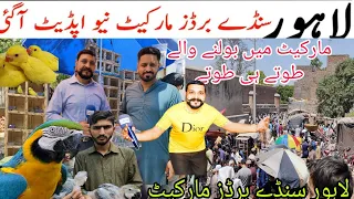 lahore Shalimar Sunday birds market Today Latest Update| Aj market mai bohat c new variety😱|Raw Bird