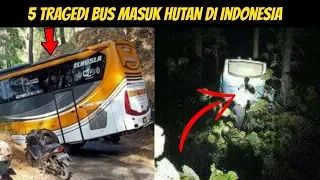 5 BUS Nyasar Masuk Hutan di Indonesia