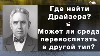 Где найти Драйзера? Можно ли "перевоспитать" в другой тип