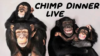 The one and ONLY Chimp Dinner Live | Jan 30 2022