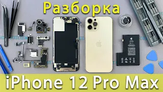 Разборка iPhone 12 Pro Max