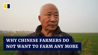 Chinese farmers give up on making a living from the land despite government focus on food security