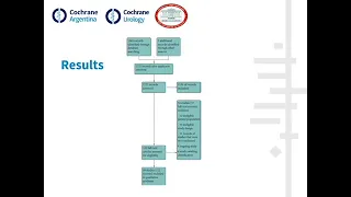 Treatments for chronic prostatitis/chronic pelvic pain syndrome: a Cochrane systematic review