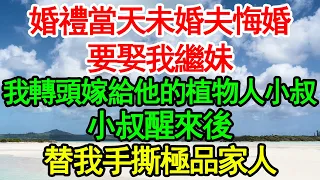 婚禮當天未婚夫悔婚要娶我繼妹，我轉頭嫁給他的植物人小叔，小叔醒來後替我手撕極品家人