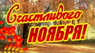 Привет, ноябрь! Заходи! Счастливого и доброго ноября!