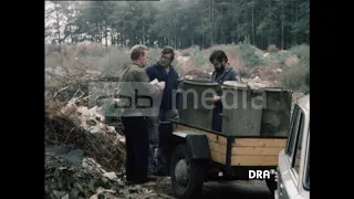 Forest pollution in Königs Wusterhausen, 1982