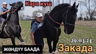 КАРА КУШ ЗАКАНЫКЫ