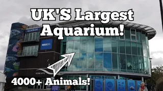 A Tour of the UK's LARGEST Aquarium!  - NMA Plymouth (4000+ Animals!!)
