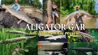 Aligator gar malayalam review