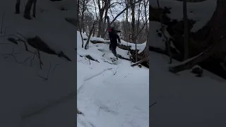 Jumping a tree root cliff but fall