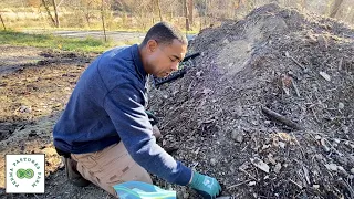 Planting Starts and Seeding the Hugelkultur Mound