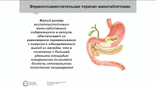 Клинические проявления, диагностика и коррекция нарушений функции поджелудочной железы